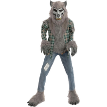 Load image into Gallery viewer, Child Unisex Green Werewolf Costume with Mask Gloves and Shoe Covers-XL(12-14yr)