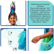 Load image into Gallery viewer, Peacock Costume, Small Iridescent Color
