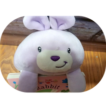 Load image into Gallery viewer, Purple Plush Poppy Pal Bunny & Children’s Board Book Tales from Nature - RABBIT