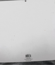 Load image into Gallery viewer, NEW Park Lane Nice Day 48-Sheet 12x12 Cardstock Paper Pad Scrapbooking Crafts