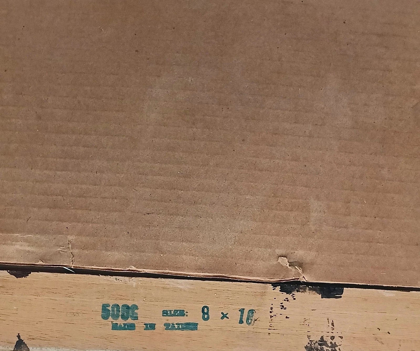 Vintage Albert Londe Talking Head Magic Print in Ornate Frame