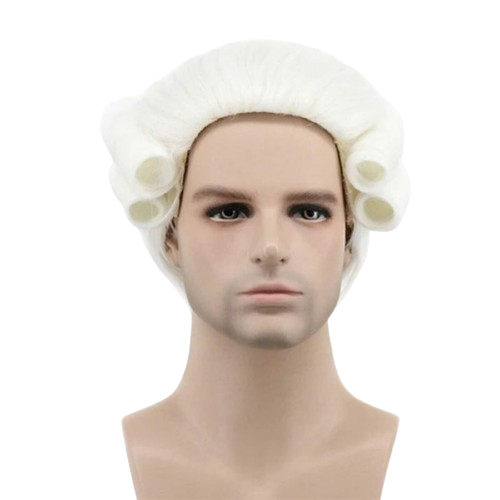 White Lawyer Judge Curly Male Wigs Deluxe Long Synthetic Cosplay Wig+Wig Cap OS
