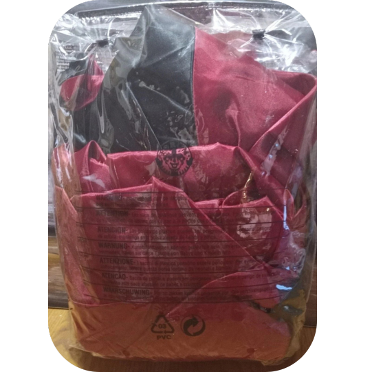 Rubie's Child's Transylvanian Vampire Costume, Large