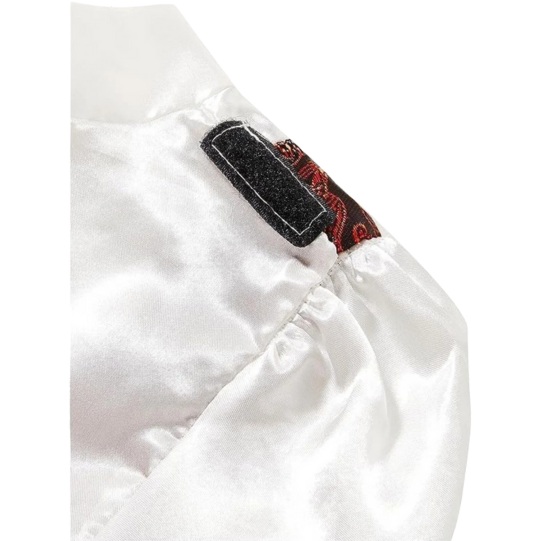 Rubie's Child's Transylvanian Vampire Costume, Large