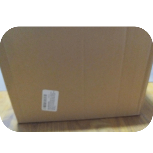 Neon Sunglasses Bulk Pack 48 Green Pink Yellow Orange Sunglasses UV 400