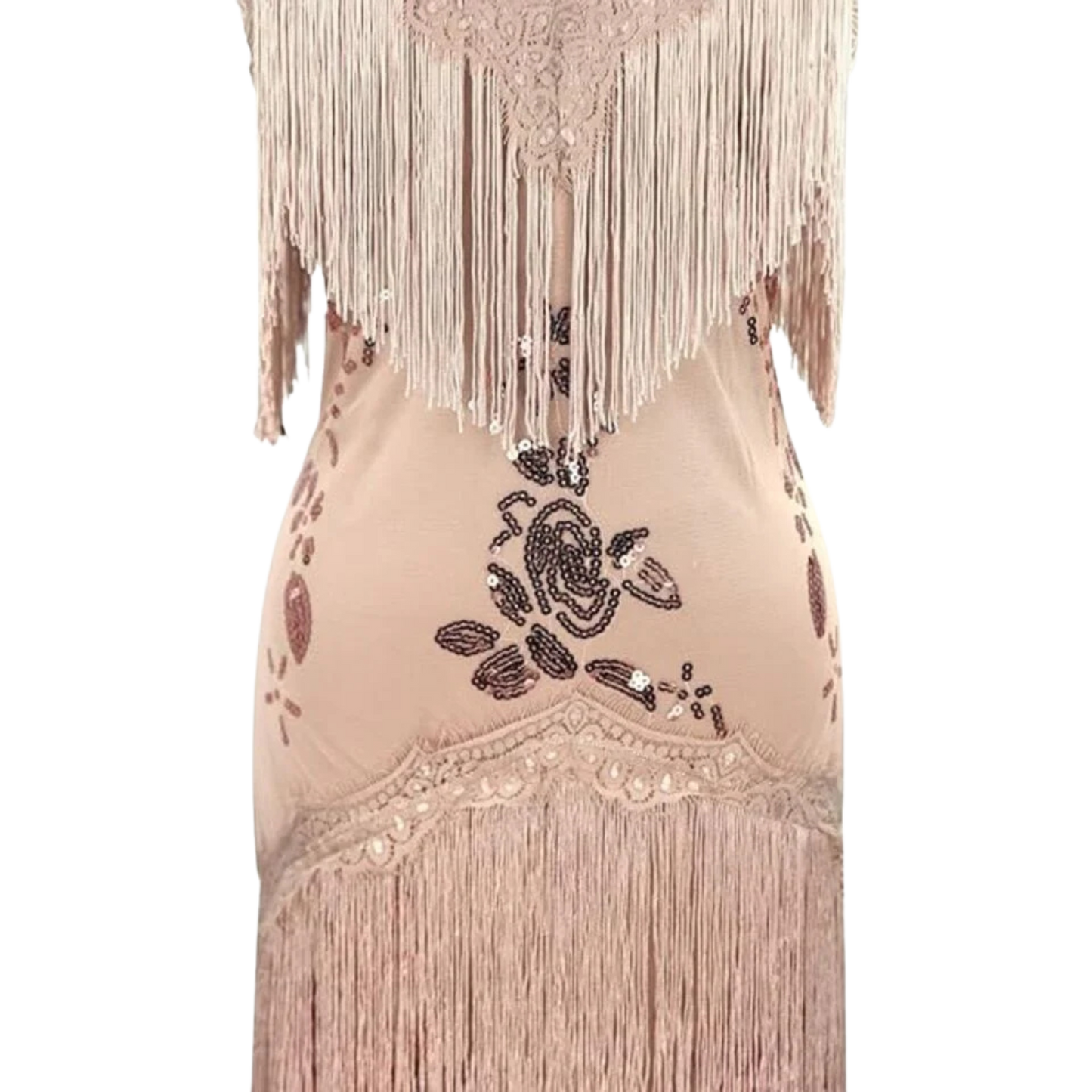 Flapper Dress 1920s Gatsby Tassel Sway Dance Dress with 20s Accs Set Sm Gold