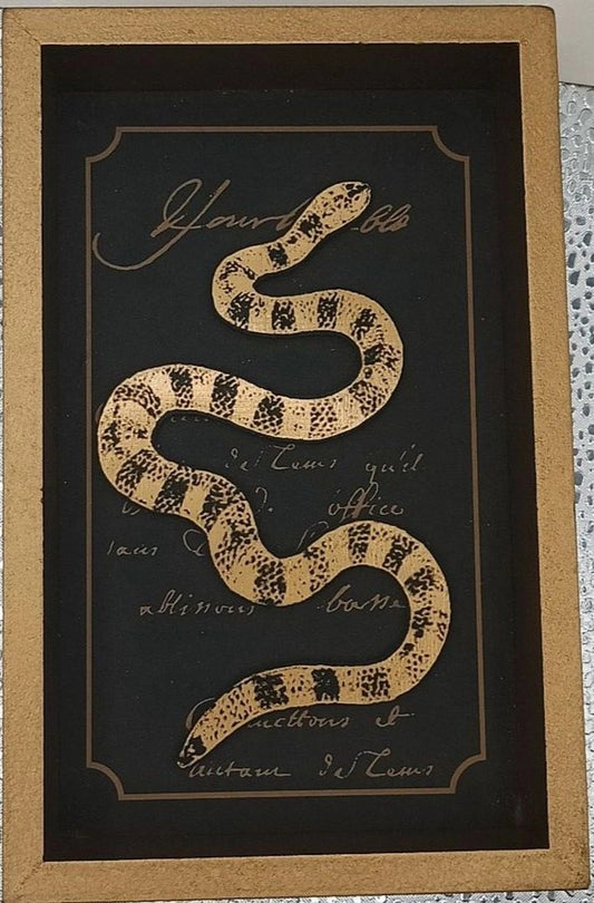 7"x4.5"x1" Snake Shadow Box Wall/Tabletop Décor – Gold Frame, Ashland
