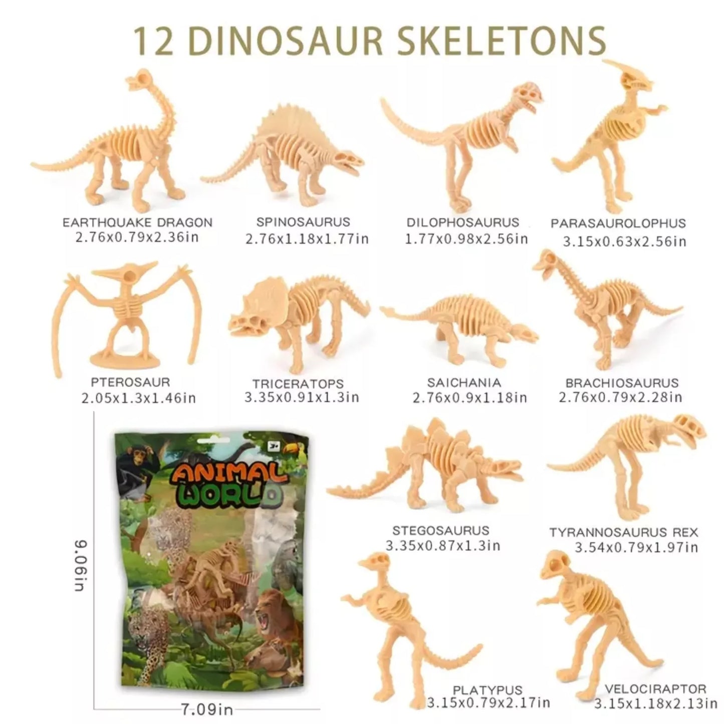 Archaeological Toy Dinosaur Skeleton 12pcs