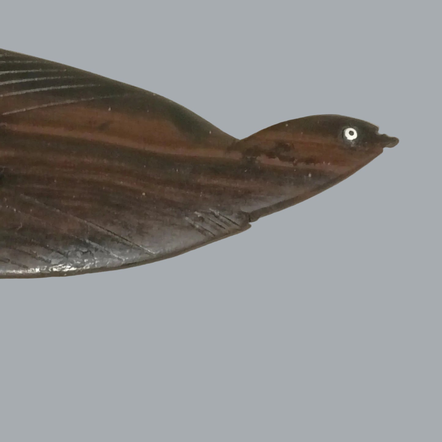 Carved Wooden 7” Bird Hair Comb Pick Tribal Folk Art Style