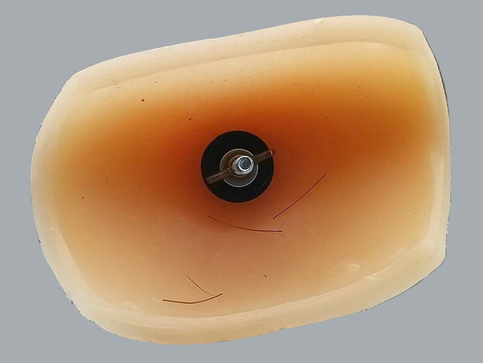 Vintage Vinyl Doll Head Torso with Painted Features and Mounting Screw