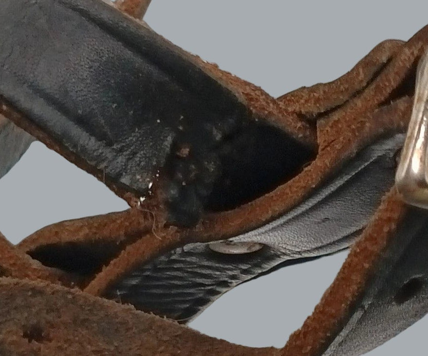 Vintage Vented Black Leather Dog Muzzle with Buckle Straps