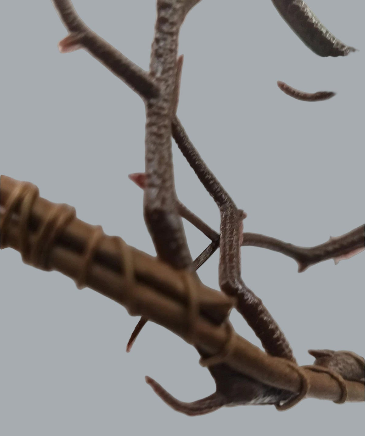 Woodland Antler Crown with Red Gemstone Red Ribbon Ties OSFM