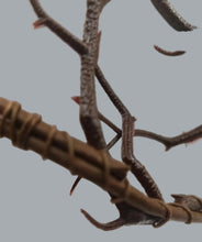 Load image into Gallery viewer, Woodland Antler Crown with Red Gemstone Red Ribbon Ties OSFM
