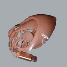 Load image into Gallery viewer, Elf Earbuds Headphones Wired In-Ear Earphone Fairys USB C Plug

