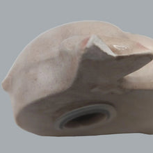 Load image into Gallery viewer, Rob Roy Cuddling Pigs Salt &amp; Pepper Shakers Preowned Ceramic Chip On Rear Foot
