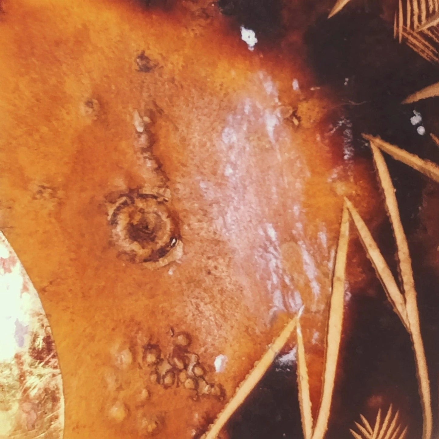 Vintage Inca Design Owl Gourd Hand Painted Andean Folk Art 4x4