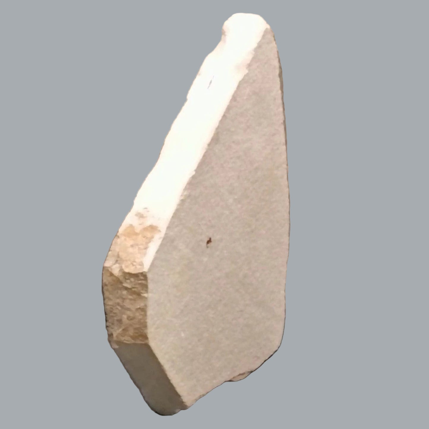 Eocene Green River Knightia Fossil Fish 2.5x3 on 4.5x6 Limestone