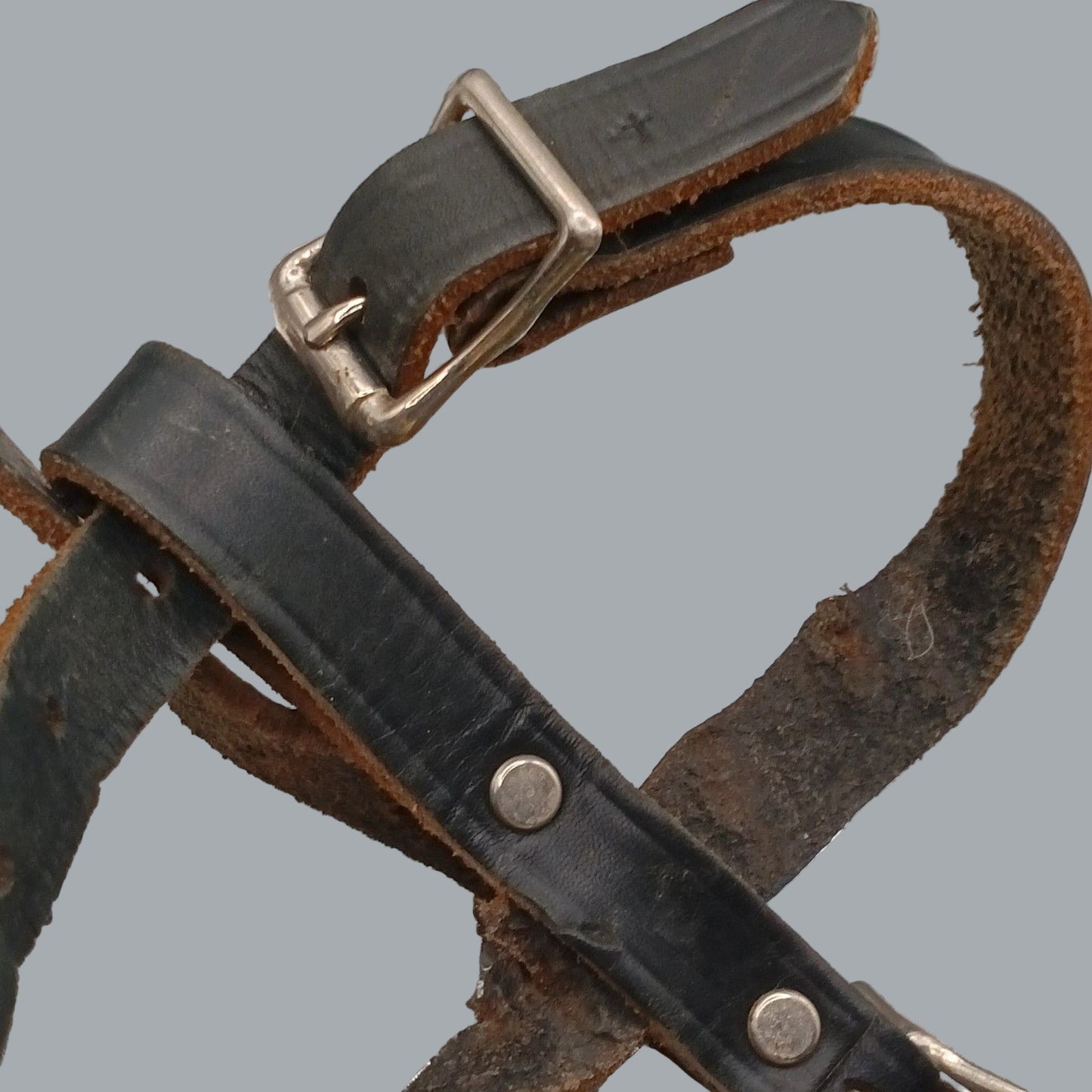 Vintage Vented Black Leather Dog Muzzle with Buckle Straps