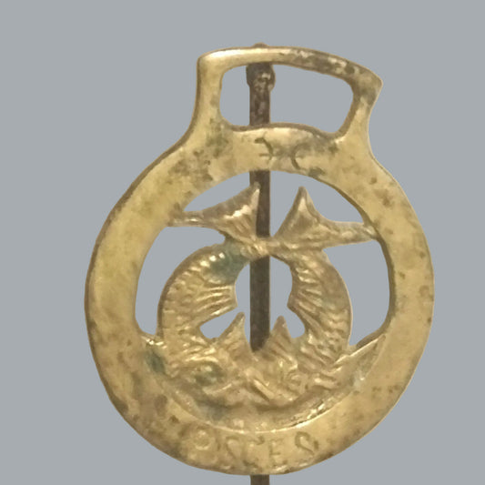 Vintage Pisces Zodiac Horse Brass: Celestial Astrology Decor