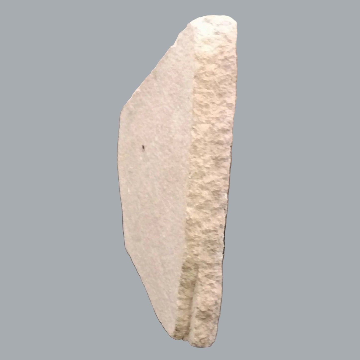 Eocene Green River Knightia Fossil Fish 2.5x3 on 4.5x6 Limestone