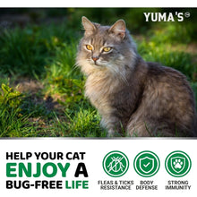 Load image into Gallery viewer, 100% Natural Flea and Tick Prevention Chewable Pills for Cats, Made In USA
