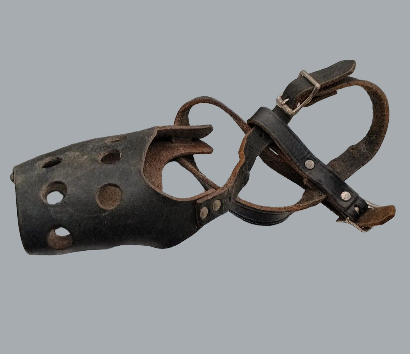 Vintage Vented Black Leather Dog Muzzle with Buckle Straps