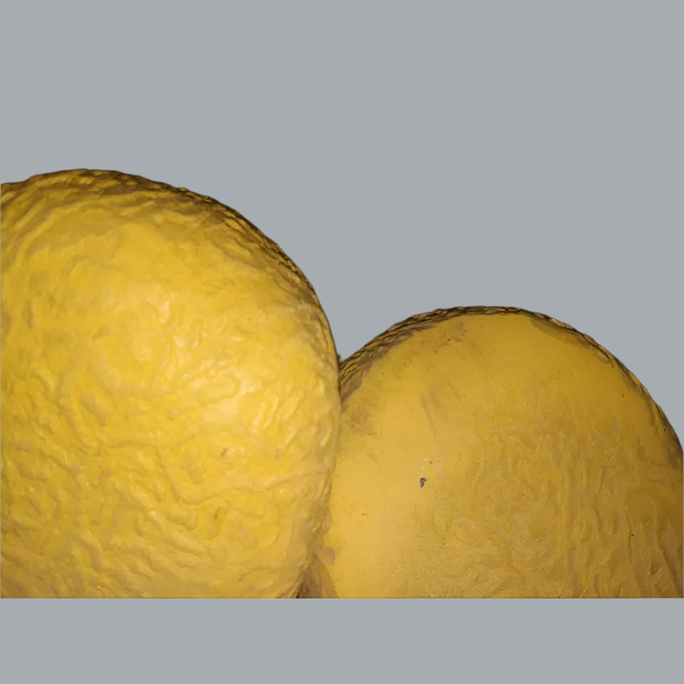 Sorel Nanook Snow Winter Tan Leather Wool Liners Lace Up Boots WOMENS GB 5 US 7