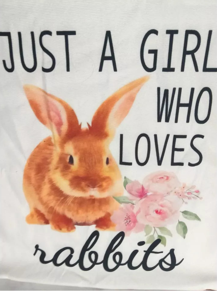 Just a Girl Who Loves Rabbits Pillow Cover Only 18x18 Rabbit Lovers Bunny Lovers